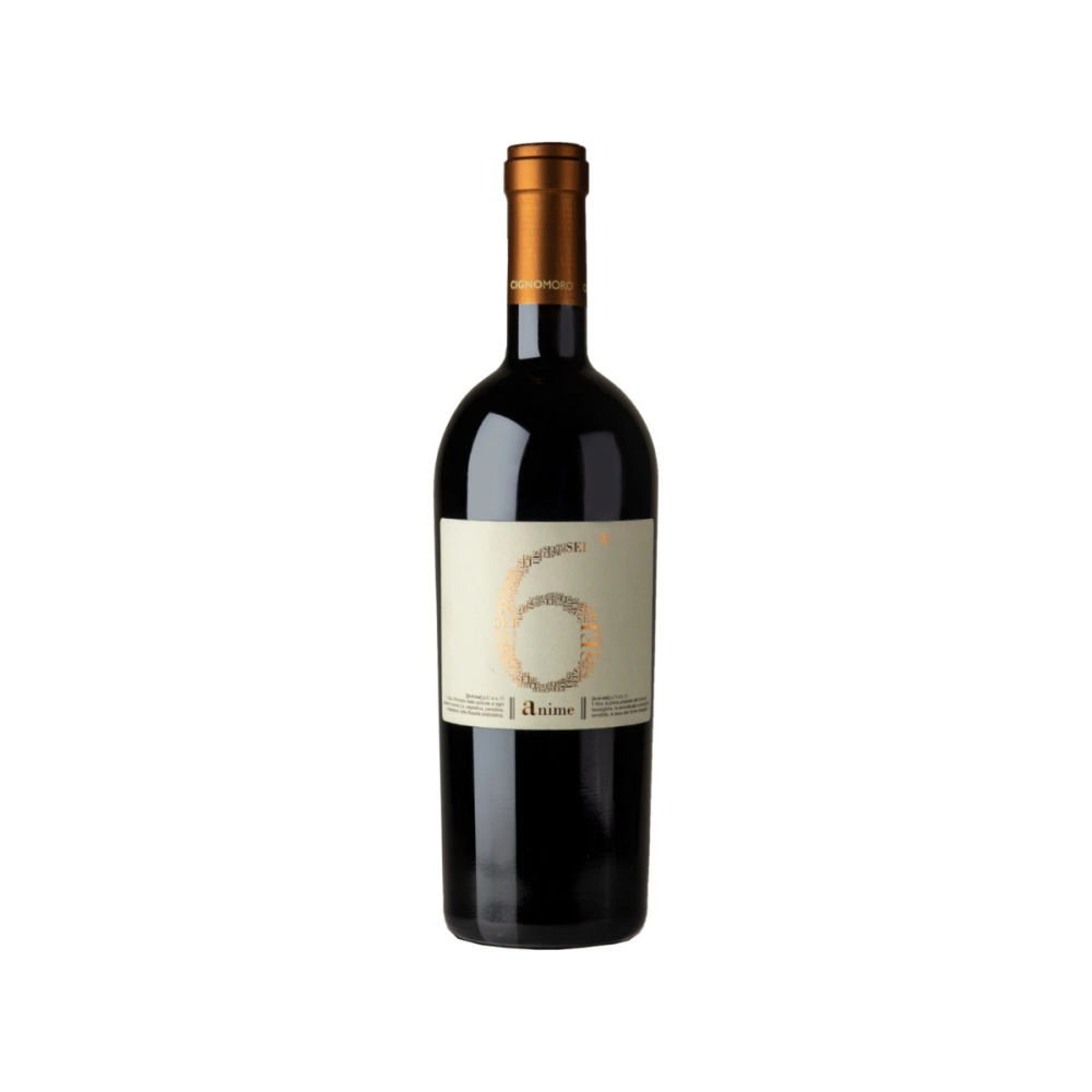 6 Anime Rosso Puglia 14.5% 0.75L